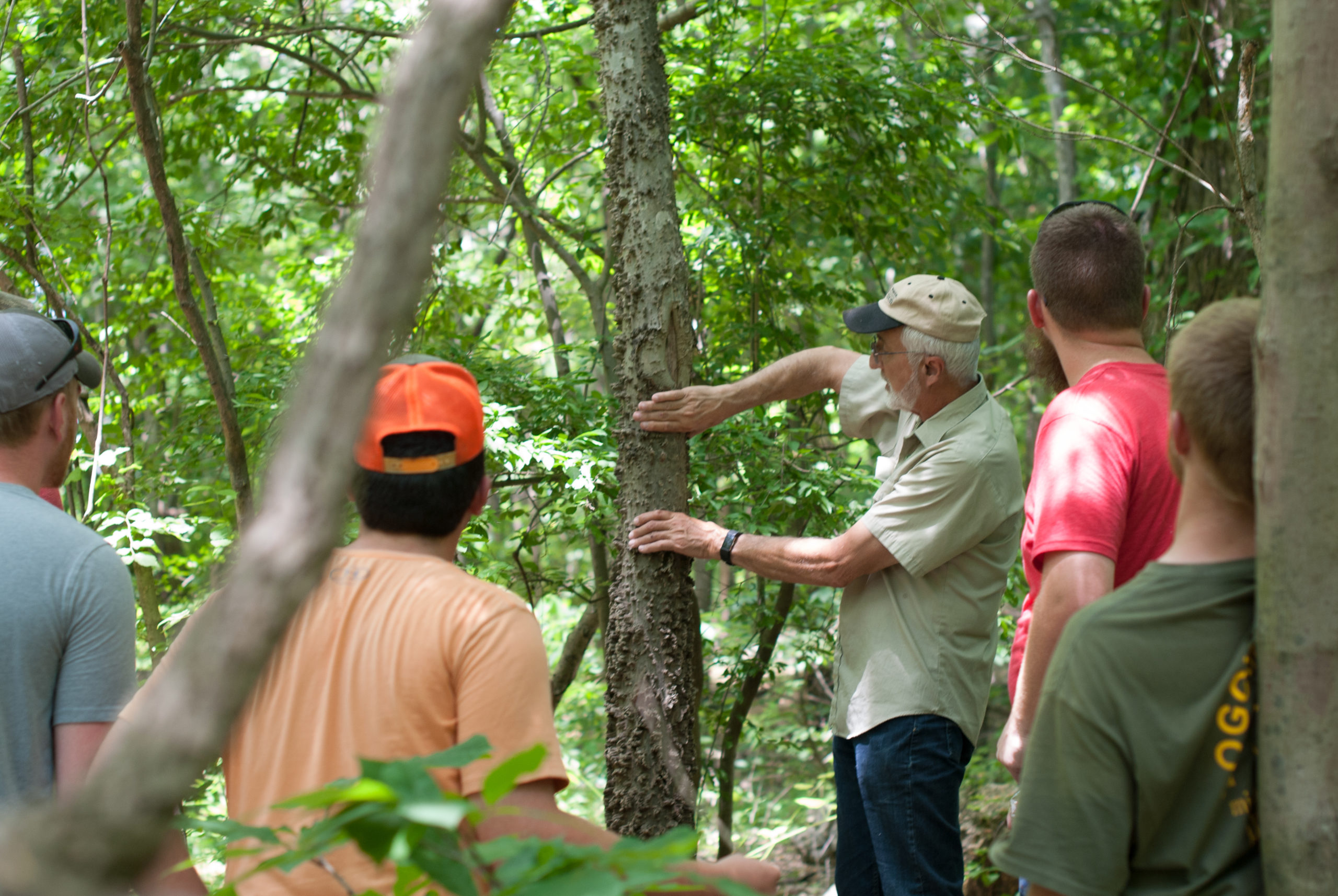 Silviculture and Forest Management